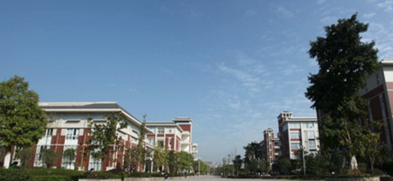 校園環(huán)境 (4)