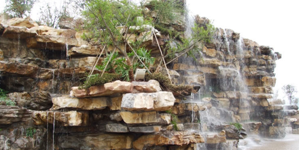 校園環(huán)境 (11)