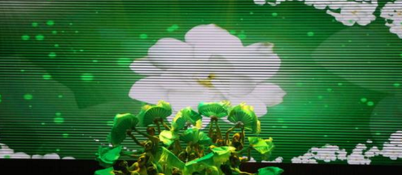 學(xué)生活動 (1)