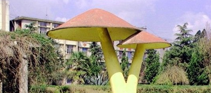 校園環(huán)境 (2)