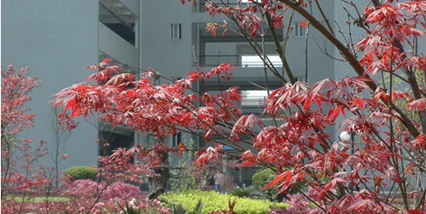 重慶三峽醫(yī)藥高等?？茖W(xué)校學(xué)校環(huán)境