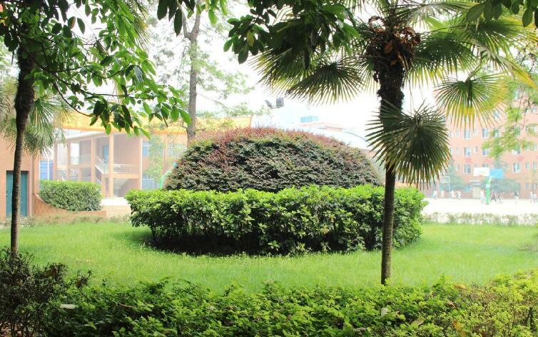 校園環(huán)境7