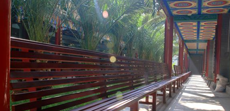 校園環(huán)境 (18)