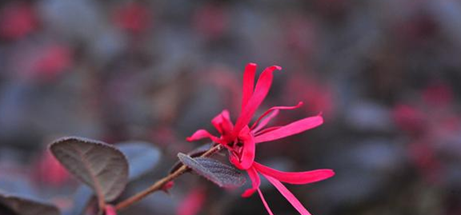 校園環(huán)境 (13)