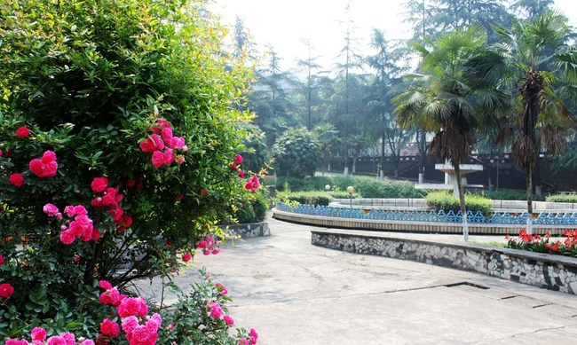 樂山市醫(yī)藥科技學校春暖花開