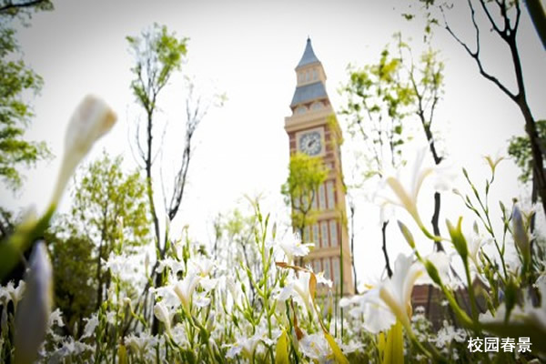 四川西南航空學(xué)校全景圖