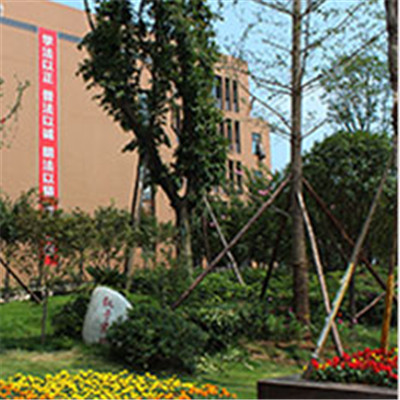 四川希望汽車(chē)技師學(xué)院招生簡(jiǎn)章