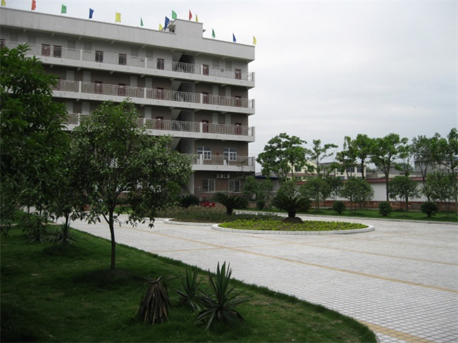 2025年樂山市欣欣藝術職業(yè)學校招生簡章