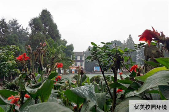 重慶紅春藤技工學(xué)校招生簡章