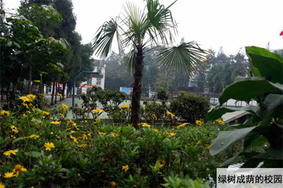 重慶紅春藤技工學(xué)校招生簡章