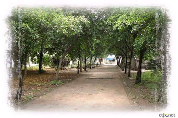 重慶鐵路運(yùn)輸技師學(xué)院招生簡章