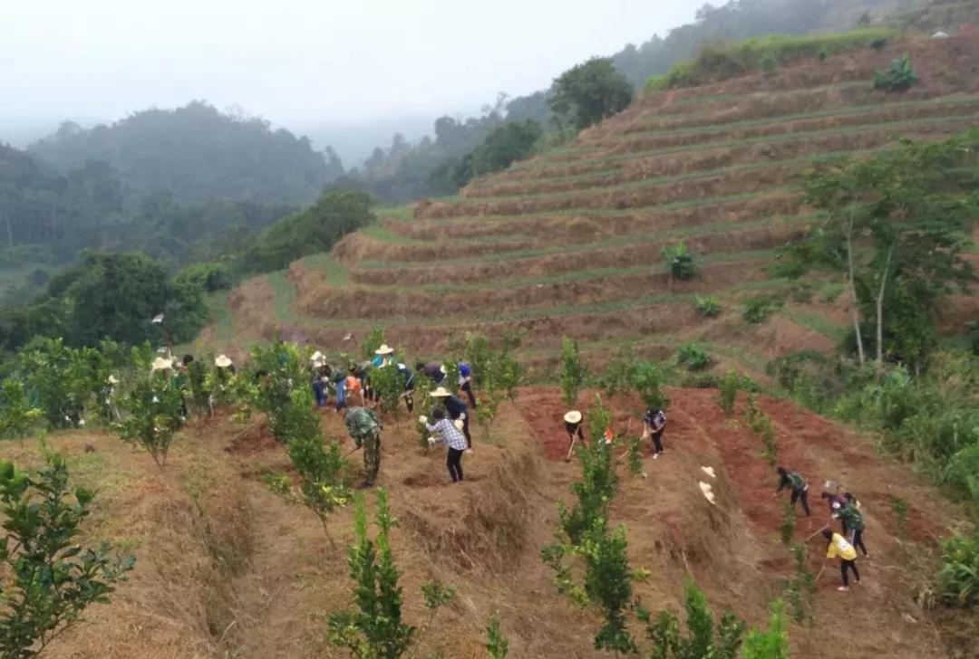 江城縣職業(yè)高級(jí)中學(xué)江城縣職業(yè)高級(jí)中學(xué)現(xiàn)代農(nóng)藝技術(shù)專業(yè)招生2