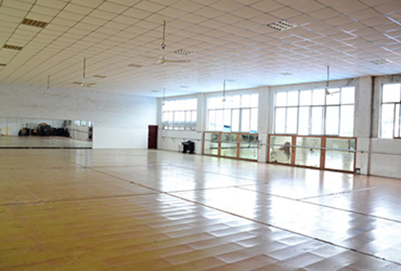 成都最好的幼師學院是哪所