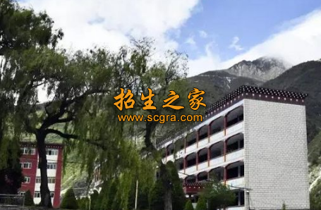 學(xué)校環(huán)境