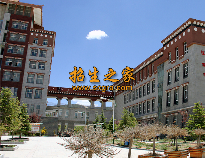 學(xué)校環(huán)境