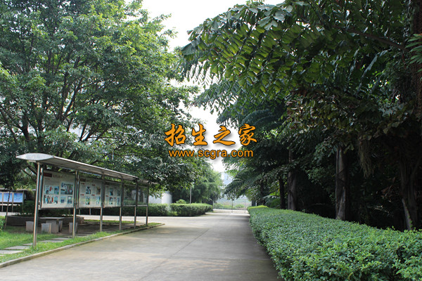 學(xué)校環(huán)境