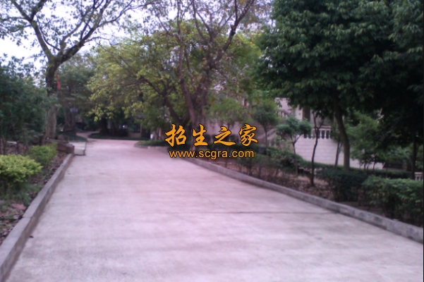 學(xué)校環(huán)境