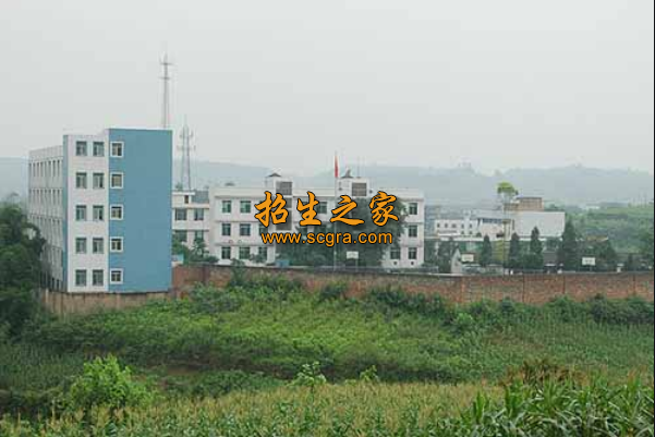 學(xué)校環(huán)境