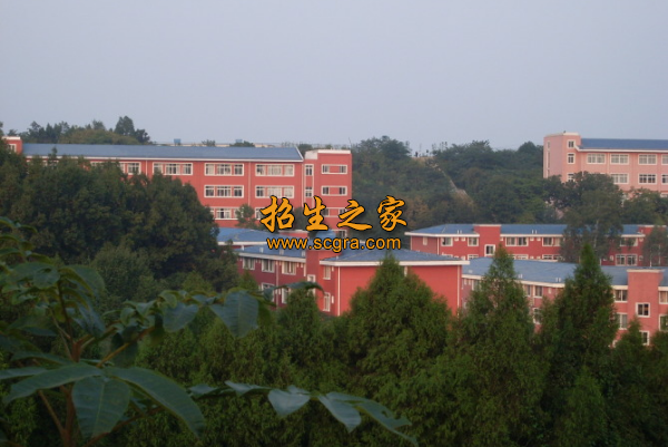 學校風景