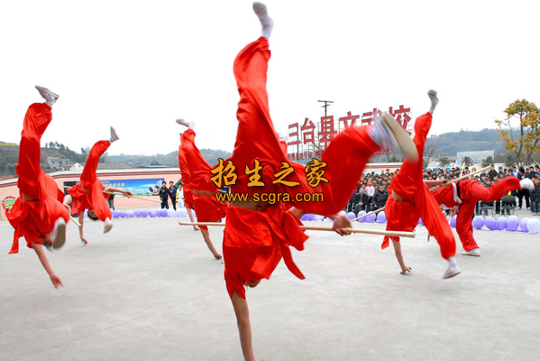 三臺縣文武職業(yè)技術(shù)學校