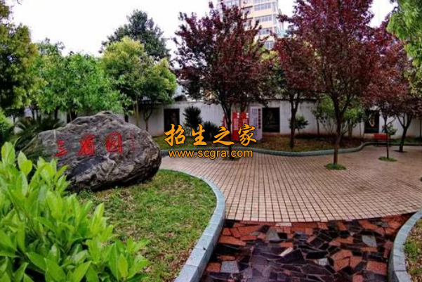 學(xué)校環(huán)境