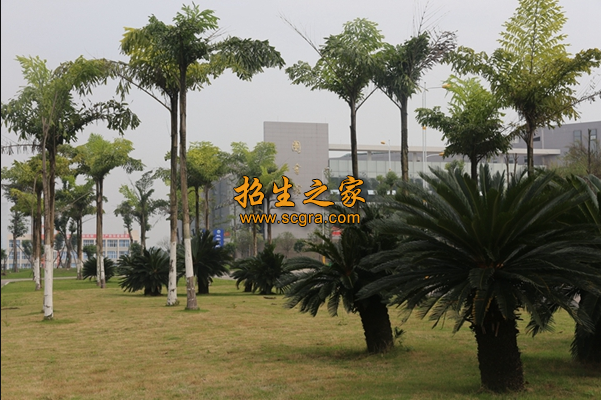 內(nèi)江職業(yè)培訓學院