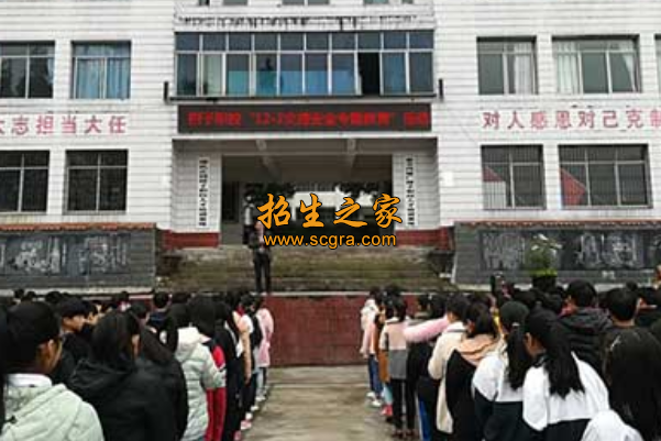 學(xué)?；顒?dòng)