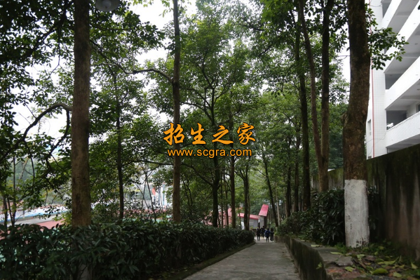 學(xué)校環(huán)境