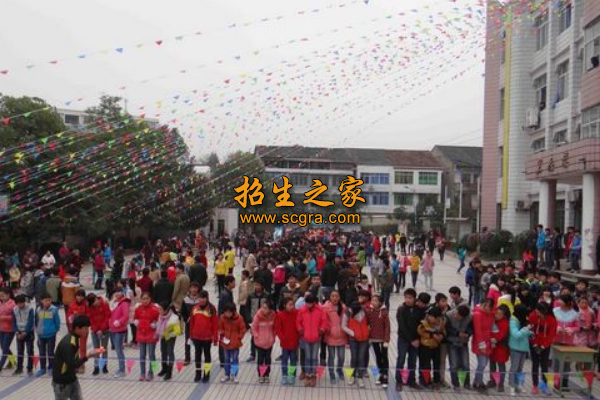 學(xué)?；顒?dòng)