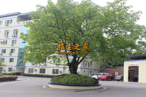 學(xué)校環(huán)境