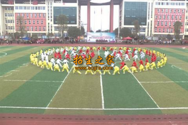 學(xué)?；顒?dòng)