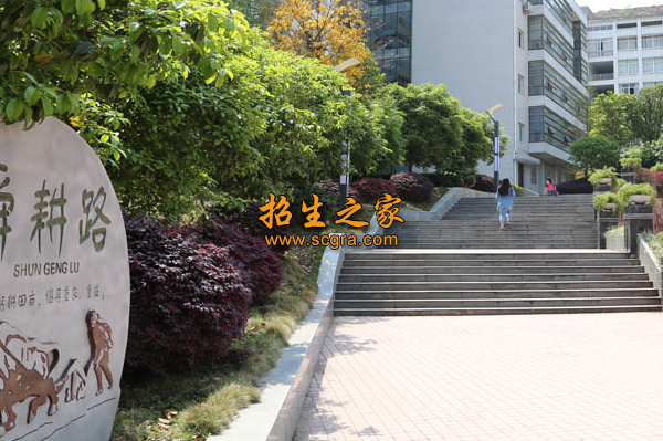 學(xué)校環(huán)境