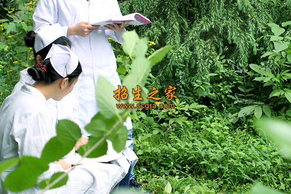 學(xué)校環(huán)境