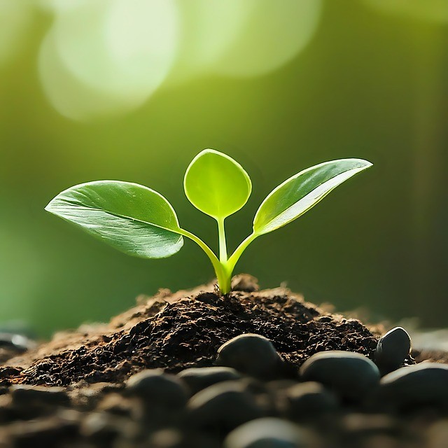 宜賓縣柳加職業(yè)中學(xué)2025年招生錄取分?jǐn)?shù)線