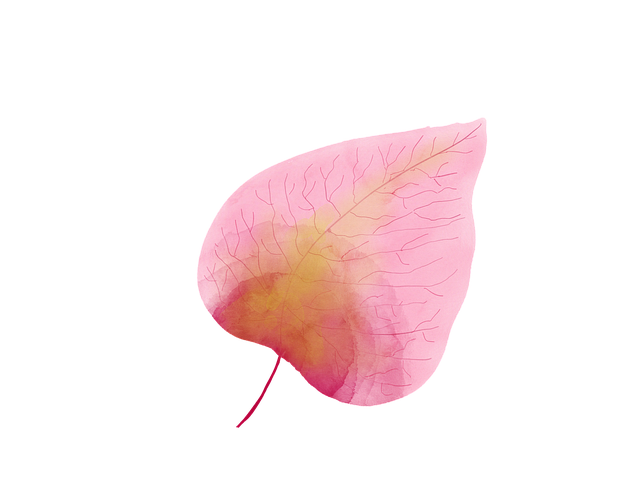 四川單招中職土木工程