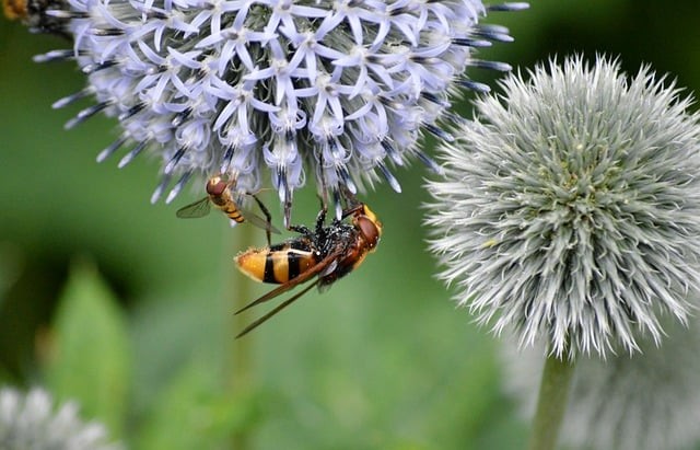 四川單招復(fù)習(xí)app推薦