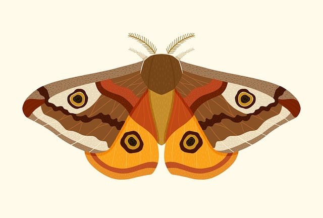 宜賓南溪單招培訓(xùn)班地址，宜賓南溪職業(yè)技術(shù)學(xué)校招生簡章