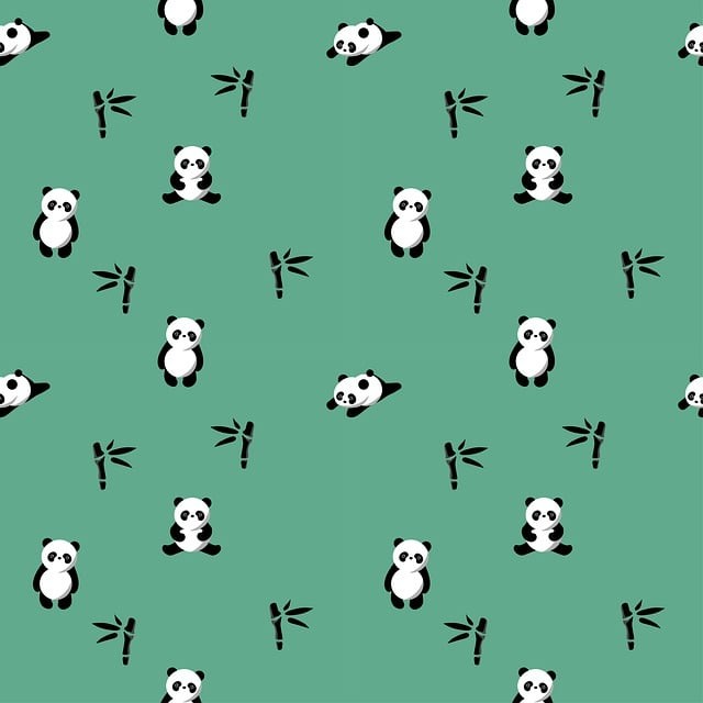 四川省中職單招培訓(xùn)宜賓，宜賓單招培訓(xùn)機構(gòu)