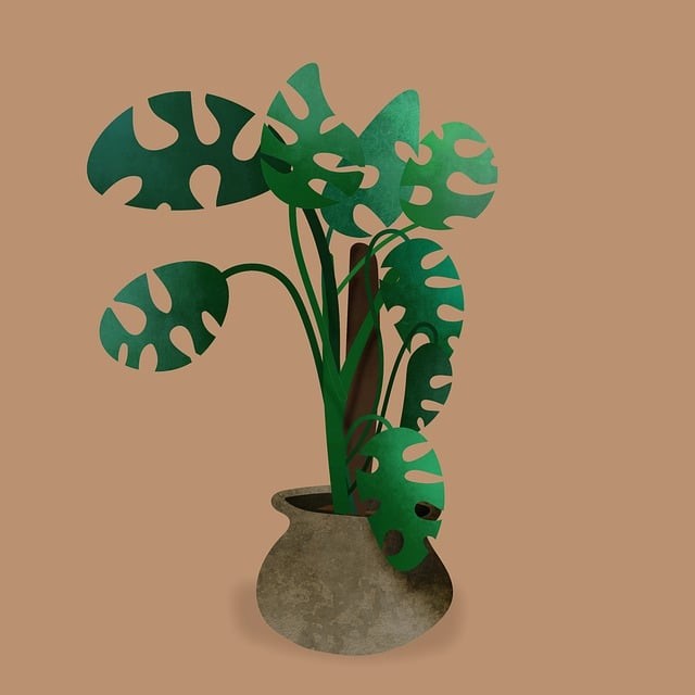 明陽單招牛牛老師，明陽單招培訓(xùn)學(xué)校初中生能報讀嗎