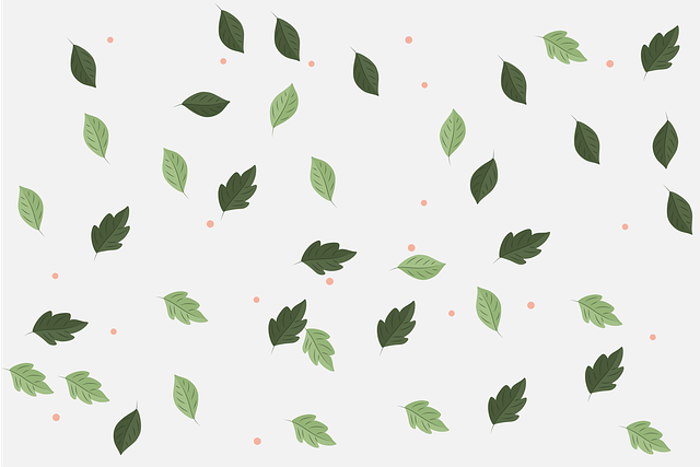 成都體育學(xué)院附屬體育運動學(xué)校2025年招生簡章，聯(lián)系電話，收費標準