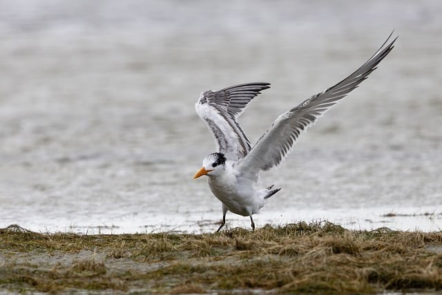 四川省工商職業(yè)技術(shù)學(xué)院2025年單獨(dú)招生錄取控制分 四川省工商職業(yè)技術(shù)學(xué)院2025年單獨(dú)招生錄取控制分