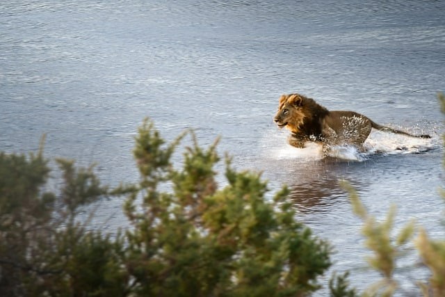 電子科技大學(xué)實驗中學(xué)辦學(xué)思想、辦學(xué)成果、社團活動