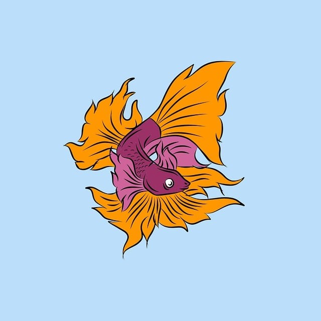 融創(chuàng)秋招會看成績單嗎，融創(chuàng)2022校招測評