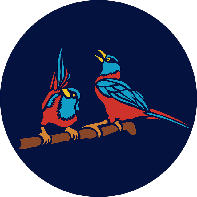 成都補課機構(gòu)高中藝體，成都高中藝體集訓(xùn)學(xué)校哪家好