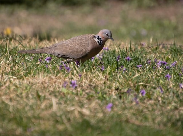 四川單招電子商務(wù)試卷