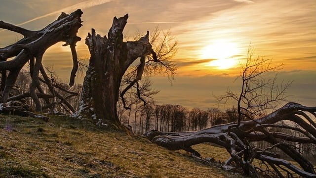 成都市電子信息學(xué)校學(xué)校簡介 成都市電子信息學(xué)校學(xué)校簡介