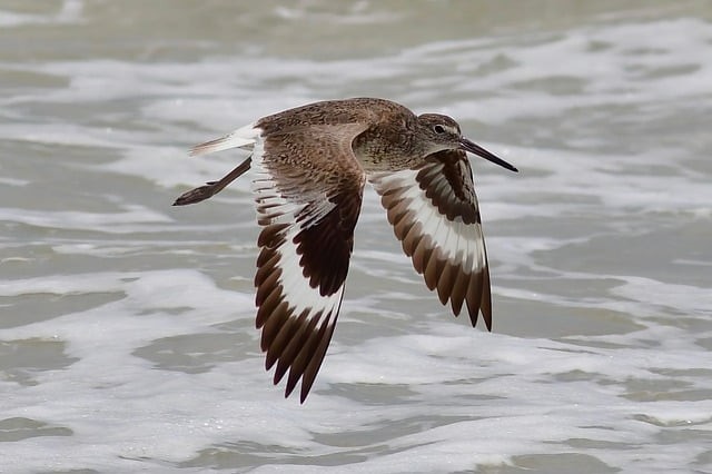 綿陽(yáng)博遠(yuǎn)藝術(shù)職業(yè)學(xué)校2025年錄取分?jǐn)?shù)線