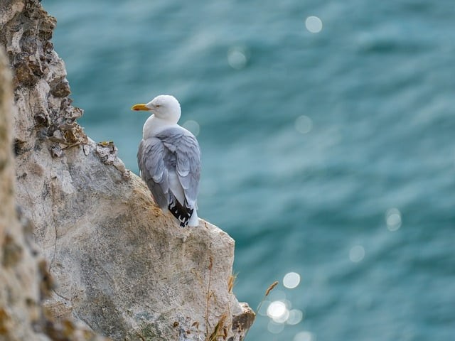 四川單招志愿填報(bào)策略