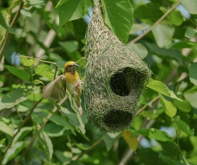 四川單招報(bào)名啥時(shí)候 四川單招報(bào)名啥時(shí)候