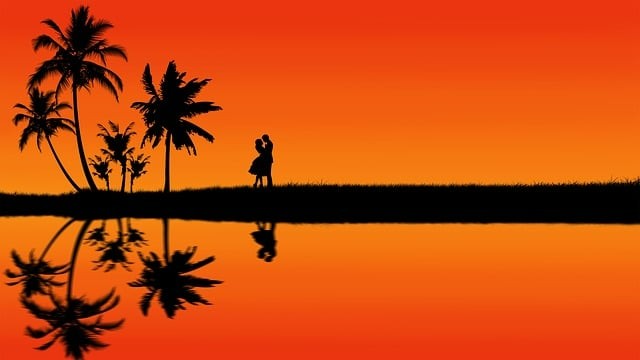 2025計算機單招四川